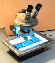 EIG's Zoom Stereoscope